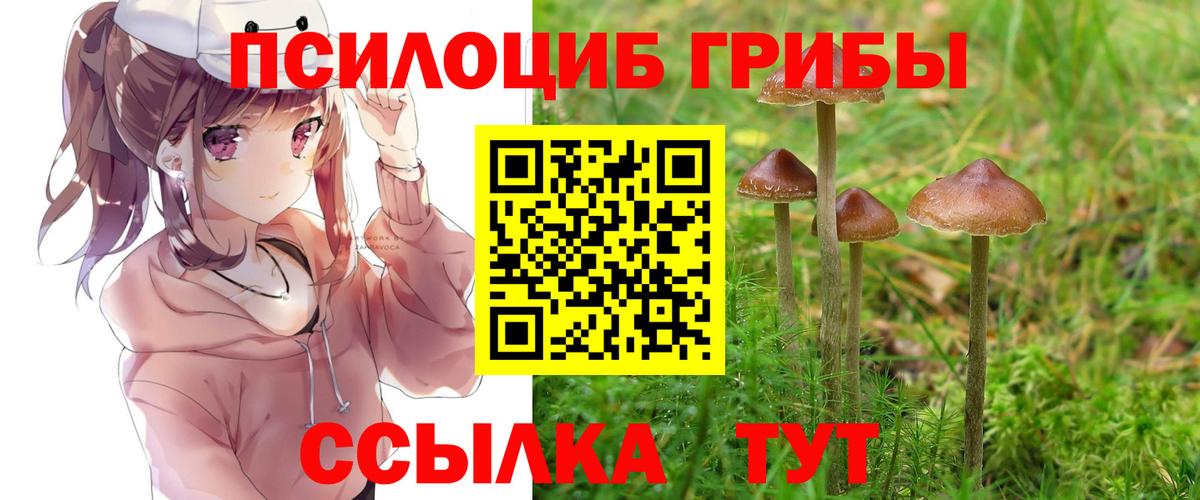Псилоцибиновые грибы прущие грибы  Вход с VPN  Балашиха  Галлюциногенные грибы мицелий 
