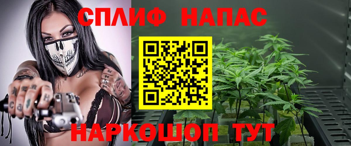 Бошки Шишки марихуана Балашиха